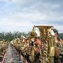 国庆阅兵式联合军乐团首次亮相![组图]
