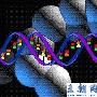 三大基因“亮相” 它们让我们成为了人类[图]