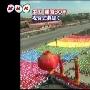 日本NHK电视台转播中国国庆60周年大阅兵!