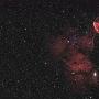 业余爱好者拍摄精美天文照片：水母星云(组图)