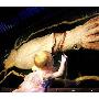 十大恐怖海洋生物：大乌贼体长可达20米(组图)