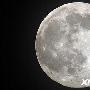 NASA：撞月数据显示月球上存在水(图)