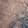 宇航员太空拍摄阿根廷怪异洪泛平原照片(图)