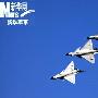 中国空军蓝军分队队长：蓝军性格就是狼性(图)