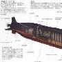 海试中的元级042垂发常规潜艇![多图]