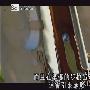 武器大百科：防彈衣