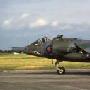 Harrier