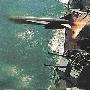 [图文]海鹰-2（HY-2）岸舰、舰舰导弹