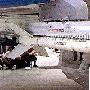 [图文]“霹雳”5红外制导近程空空导弹(PL-5)