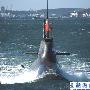 [图文]德国海军212级常规动力潜艇