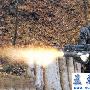 [图文]保加利亚RG-25型多功能榴弹发射器可打霰弹