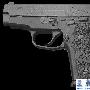 [多图]SIG SAUER P229手枪