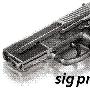 [图文]SIG PRO 系列手枪