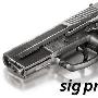 [多图]SIG PRO 系列手枪