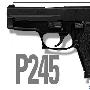 SIG SAUER P245 小型手枪