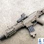 MagPul Masada / Bushmaster ACR步枪