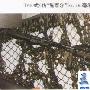 中国台湾t68（仿“施泰尔”）式5.56毫米自动步枪