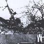 关崇贵――中国首个用枪打下飞机的士兵（图文）