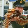 浙江一工地发现疑为解放战争时期遗留的机枪子弹