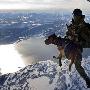 挪威特种兵带嗅探犬一万英尺高空练跳伞(图)