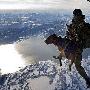 特种兵带嗅探犬从高空练习跳伞(组图)