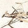 世界直升机“之最”大盘点[图]