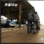 为航母积累经验？中国空军地勤穿不同颜色马甲图