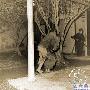 腥风血雨1948 我党游击队被俘就义全过程