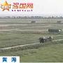 装甲部队胶东半岛紧急集结 解放军有新动作了