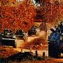 俄：中国开始向外推销WZ-523型轮式装甲输送车图