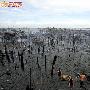 菲律宾首都发生火灾 300多间房屋被烧毁