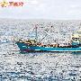 钓鱼岛撞船事件事关国家尊严，中国强硬势在必行