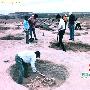 新疆发掘古墓葬453座 填补和静早期人类历史空白
