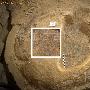 秦兵马俑一号坑第三次考古发掘重要收获