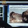 3D照片重现耶稣“真容” 与画像不太相似(图)