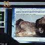 3D照片重现耶稣“真容”与画像不太相似