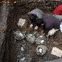 河南南阳发掘出春秋晚期楚国贵族墓葬[组图]
