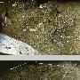 西班牙发现距今1.4万年前的最古老西欧地图