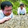 河南内乡发现4亿年前泥盆纪时期海洋古生物化石