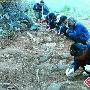 丽江发现一石棺古墓群 排列整齐紧紧相连(图)