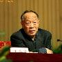 李肇星反感官样文章 审批总结必划掉“圆满”二字