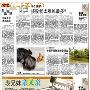 希特勒统治德国时哪个国家接收犹太难民最多