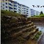 古代东北地方政权高句骊军事简史[下]