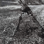 M29 式和 M29A1 式 81mm 迫击炮