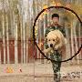 武警新疆塔城边防支队精心组织警犬训练