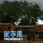 镜头告诉你中国维和军人的真实生活