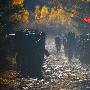 沈阳军区某部山岳丛林地合成防御战斗激烈展开