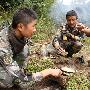 官兵在热带山岳丛林里怎么吃？