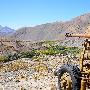 从武器到建材：阿富汗回收利用废旧武器