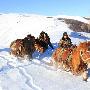 －30℃“雪海孤岛”官兵为祖国戍边守防